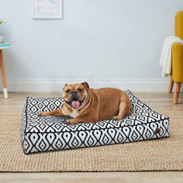 Small Dog Bed Cushion